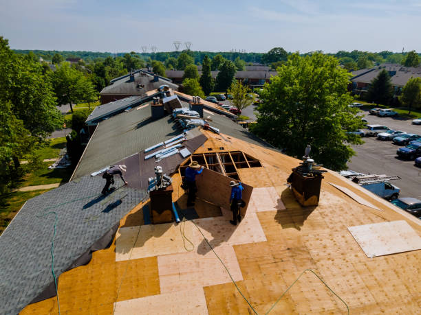 24/7 Emergency Roof Replacement experts in Lewisville, TX